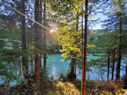 However, the north carolina department of health and human services recommends that. Gualala River Redwood Park
