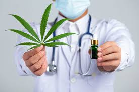 Minsa aprueba formularios para registro de usuarios de cannabis medicinal