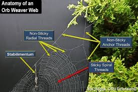 Oh What A Tangled Web Bygl