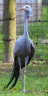 Cheers to another year 🎂...