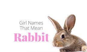 Girl Names That Mean Rabbit Momswhothink Com