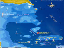 Image result for Red Marina 1992 UMM