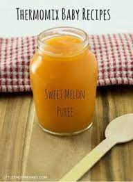 Thermomix Melon Baby Baby Puree Recipes Baby Puree Pureed Food Recipes