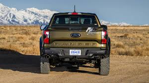 Image result for Brown 2025 Ford