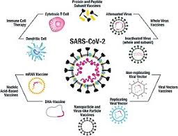 If all goes well, johnson & johnson may go before the u.s. Covid 19 Vaccine Wikipedia