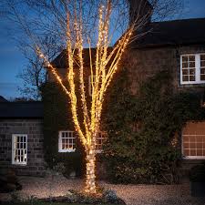 This outdoor landscape light is your best companion at night.all weather resistant:no need to worry about rain and snow, can work normally in all kinds of weather. Pro Connect 5m 50 Traditional Warm White Connectable String Lights Bla Lights4fun Co Uk
