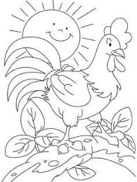 Kumpulan mewarnai gambar ayam jago. Gambar Mewarnai Ayam