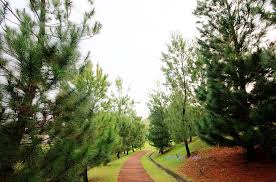 We did not find results for: Photography Taman Saujana Hijau Precint 11 Putrajaya Ini Blog Dr Singa