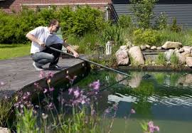 Schwimmteich Anlegen Naturlicher Badespass Mit Obi