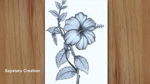Once finished, take a darker shade and color the flower, to give depth by adding dark tones. How To Draw A Hibiscus Flower Step By Step Pencil Sketch China Rose Drawing For Beginners Youtube