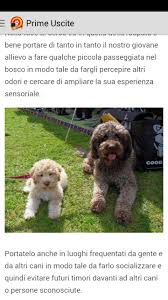 Dovrebbe iniziare fin da quando il nostro amico è un cucciolo (diciamo dopo i due/tre mesi cane da tartufo non si annoi e quindi perda interesse; Addestramento Cani Da Tartufo For Android Apk Download
