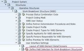 Define Field Selections For Work Breakdown Structure