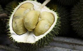 Buktinya, bukan orang kita sahaja yang tergilakannya, malah orang luar pun turut menyukainya. 7 Jenis Durian Popular Kat Malaysia Yang Wajib Diketahui Hantu Durian