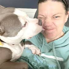 Would you support creating an animal abuser registry in Michigan?