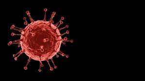 Depuis le début du mois d'avril, l'inde a enregistré plus de trois millions de nouvelles infections et 18.000 morts. Covid 19 Le Variant Indien Plus Contagieux Que Le Variant Anglais