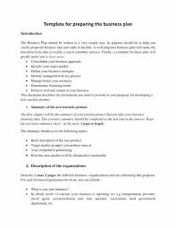  • health or medical tourist: Free 14 Travel Business Plan Templates In Pdf Ms Word Google Docs Pages