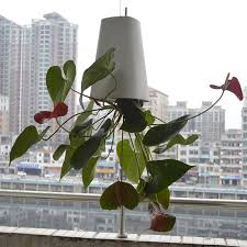 All copper plant pots can be shipped to. Sky Garden Creative Aerial Flower Pot Plastic Hanging Pot Orchid Pot Upside Down Small Flower Pot Inverted Planter Gardening Buy At The Price Of 10 63 In Aliexpress Com Imall Com