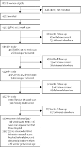 screening for fetal growth restriction with universal third