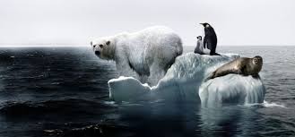 Resultado de imagen para destruccion de la naturaleza