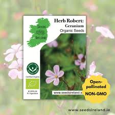 Amazon.com : Herb Robert Seeds (Geranium robertianum) 10+ Rare Medicinal  Herb Seeds Packed in FROZEN SEED CAPSULES for The Gardener & Rare Seeds