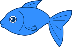 Pin On Fish Rocks