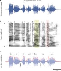 Try this exercise to test your grammar. Speech Rhythms And Their Neural Foundations Nature Reviews Neuroscience