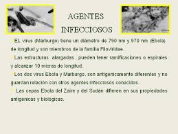 Check spelling or type a new query. Contribucion Al Trabajo Preventivo Ante Las Ameazas Del Ebola Monografias Com