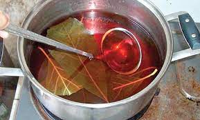 Te De Hoja De Aguacate Y Sus Beneficios Al Organismo