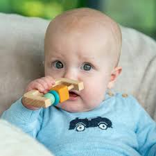 SiliSoft® Rattle Teether (Earth)