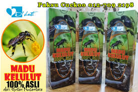 Mengoleskan madu secara teratur dapat membantu meremajakan kulit dan membuang kulit mati secara optimal. Addin 20 Khasiat Terbaik Madu Kelulut