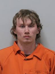 Reported domestic dispute leads to charges against Hills resident