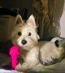 It's Ruby's birthday 🍒🎂