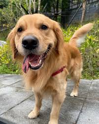 Cooper Chung (@cooper20191104) • Instagram photos and videos