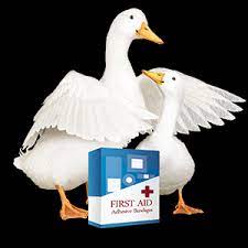 These policies typically incur a low monthly cost but can pay for up to tens. Accident Insurance Aflac