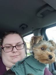 My name is: Sir Roscoe PP Train -My breed is: Yorkie ( TeaCup ) -Born : idk  my mama found me