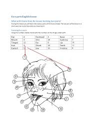 This useful article shows the names of face parts with examples and esl infographic. Face Parts