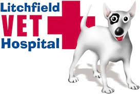 Professional Vet Services In Darwin