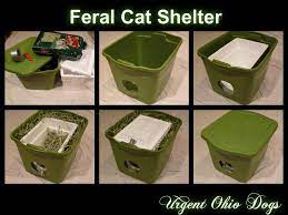 Homemade Outdoor Feral Cat Shelter Feral Cat House Feral Cats Feral Cat Shelter