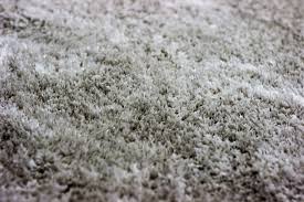 Best Way To Kill Mold In Carpet Cleanthiscarpet