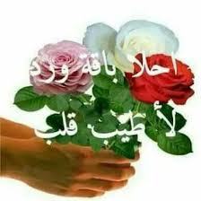 pin by hamo beyrouty on لمثلكم تهدى الورود rose flowers plants