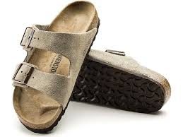 Image result for Arizona Beige 2022 Fleet