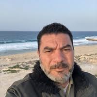 PDF) The effect of FDI and other foreign capital inflows