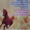 This tamil inspirational page is filled with quotes, pictures, proverbs, celebrations, stories, life's reality tamilthoughts.in talks about thought of the day or daily quotes to the students about tamil thoughts motivation செயல்தூண்டுதல், inner motivation, external mo. 3