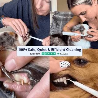 Canivet home pet dental cleaning products, do AI tạo