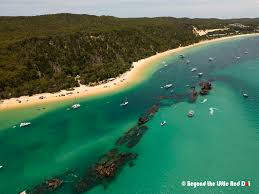 Diving Moreton Island'S Tangalooma Wrecks – Where Wild Things Roam