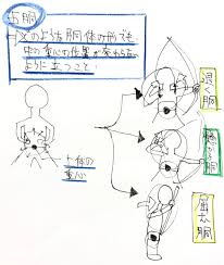 2正しい弓道教本の読み方、胴造り | 理論弓道：大きく引いて的中する射の構築法