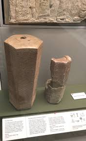 Image result for Thesium singulare