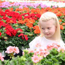 Popular salt lake city categories. Quality Flowers And Plants 1046 East 3300 South Slc Ut Home Facebook