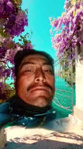 Videos de Ernest Pacheco (@ernest.pacheco2) con “Carta a mi madre