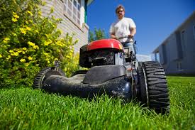 Another way of choosing the right company for your lawn is by conducting interviews with lawn mower services near you. 10 Things Lawn Services Won T Tell You Marketwatch